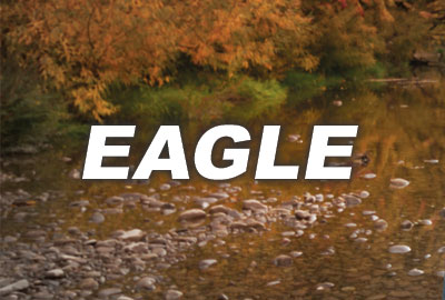 Eagle Idaho